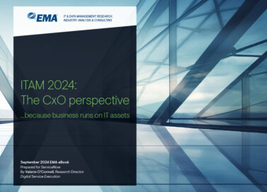 ITAM 2024: The CxO perspective…because business runs on IT assets