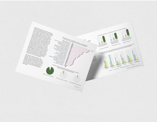 Custom Research
